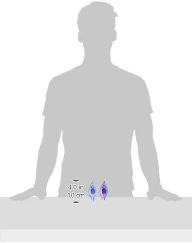 Paper Mate Liquid Paper DryLine Mini Correction Tape, Assorted Colors, 5 Count in Kuwait