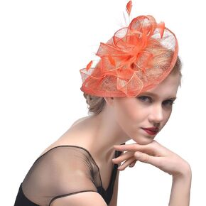 FeiYu Crafts Penny Mesh Hat Fascinator with Mesh Ribbons and Black Feathers
