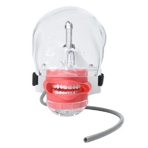 Dental Simulator Manikin Phantom Head Manikin Realistic Cheeks with 360-Degree Rotation of The Head Detachable Artificial Teeth for Teaching and Learning(Bandage Type)