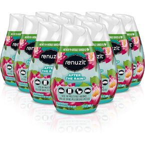 Renuzit - 1716906 03663 Adjustables Air Freshener, After the Rain Scent, Solid, 7 oz (Case of 12)