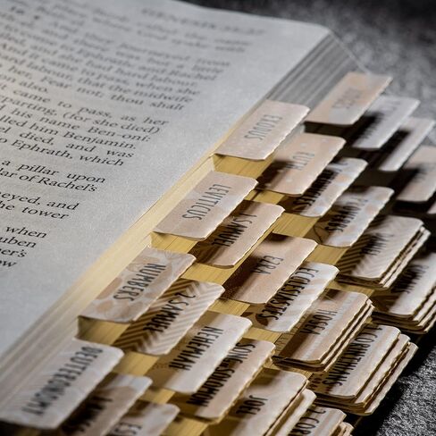 علامات تبويب الكتاب المقدس مغلفة من DIVERSEBEE (طباعة كبيرة، سهلة الاستخدام)، لوازم مذكرات دراسة الكتاب المقدس، 77 علامة تبويب لكتاب فهرس الكتاب المقدس للنساء، ملحقات الكتاب المقدس - موضوع الجمشت in Kuwait