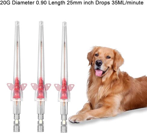 50PCS Veterinary Indwelling Needle,Veterinary IV Catheter,Disposable Veterinary Intravenous Catheters,Veterinary Instruments for All Sizes of Animals(22G) in Kuwait