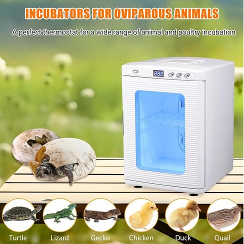 25 L Incubator, Portable Reptile Science Laboratory Incubator, Temperature Controlled 10°C-60°C for Small Reptiles, Cooling and Heating Digital Incubator, Incubator 12V/110V（White） in Saudi Arabia