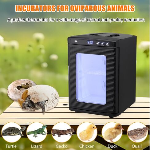 25 L Incubator, Portable Reptile Science Laboratory Incubator, Temperature Controlled 10°C-60°C for Small Reptiles, Cooling and Heating Digital Incubator, Incubator 12V/110V（White） in Saudi Arabia