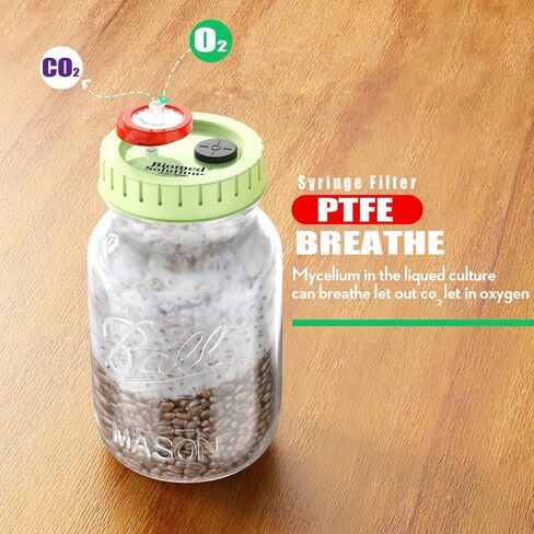 6Pcs Regular Mouth Mushroom Liquid Culture Lid, Grain Spawn Cultivation Mason Jar Lid with 0.2 micron PTFE Syringe Filter & 20mm Self Healing Injection Ports For Mushroom Growing Mycology in Kuwait