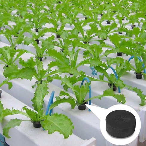 Lainrrew 36 Pcs 2" Garden Clone Collars, Cloning Collars Insert Fits 2" Net Pot Cups for Hydroponics Clone Machines (Black) in Saudi Arabia