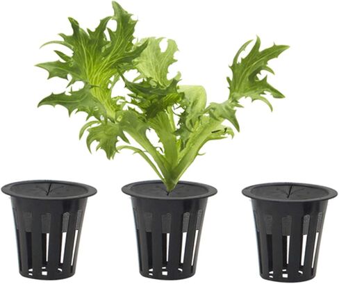 Lainrrew 36 Pcs 2" Garden Clone Collars, Cloning Collars Insert Fits 2" Net Pot Cups for Hydroponics Clone Machines (Black) in Saudi Arabia