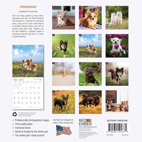 RED EMBER Sit Happens: Dog Memes 2026 Wall Calendar 12 Month | Thick & Sturdy Paper | Holiday Gift | Puppy Funny Dog Calendar 2026 in Saudi Arabia