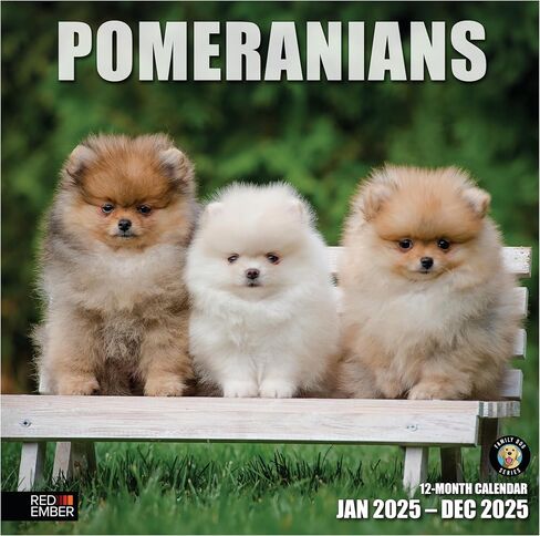 RED EMBER Sit Happens: Dog Memes 2026 Wall Calendar 12 Month | Thick & Sturdy Paper | Holiday Gift | Puppy Funny Dog Calendar 2026 in Saudi Arabia