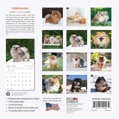 RED EMBER Sit Happens: Dog Memes 2026 Wall Calendar 12 Month | Thick & Sturdy Paper | Holiday Gift | Puppy Funny Dog Calendar 2026 in Saudi Arabia