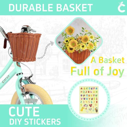 Girls Bike for Age 2-12 Years Old Kids Toddlers 12 14 16 18 20 Inches Retro Bicycles with Training Wheels Basket Bell Ring, Multiple Colors in Saudi Arabia