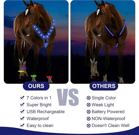 15 قطعة من 7 ألوان LED لطوق الصدر وحزام ساق الحصان، مجموعة USB قابلة لإعادة الشحن وإضاءة قابلة للتعديل ومعدات أمان LED لحزام الحصان تضيف رؤية آمنة لركوب الخيل ليلاً in Kuwait