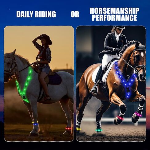 15 قطعة من 7 ألوان LED لطوق الصدر وحزام ساق الحصان، مجموعة USB قابلة لإعادة الشحن وإضاءة قابلة للتعديل ومعدات أمان LED لحزام الحصان تضيف رؤية آمنة لركوب الخيل ليلاً in Kuwait
