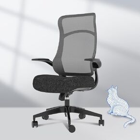 FLEXISPOT Ergonomic Office Chair with Lumbar Support, Breathable Mesh Computer Executive Chair with Mute Universal Wheels, Comfortable Design - Ideal for Home or Office Use (Black)