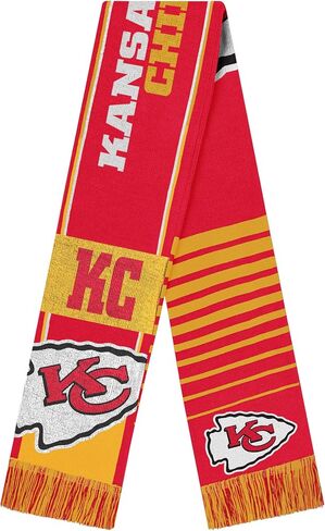 FOCO NFL unisex-adult Nfl Team Logo Reversible Thematic Scarf in Saudi Arabia