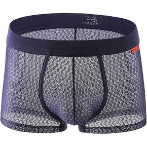 Evankin Mens Sexy Boxer Briefs Mesh Breathable Underwear See Through Lingerie Panties Trunks with Bulge Pouch