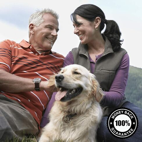 Swanson Premium Brand Prebiotic Jerusalem Artichoke - 90% Inulin 400 mg 60 Caps 2 Pack in Kuwait