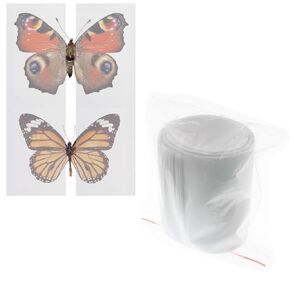 1 Pack 420 x 70mm x 20 Making Insect Specimen Tools Kit Wings Pressing Paper Insect Pins Insect Pinning Board Insect Display Case Insect Collection for Bug Hobbyist Biology Projects
