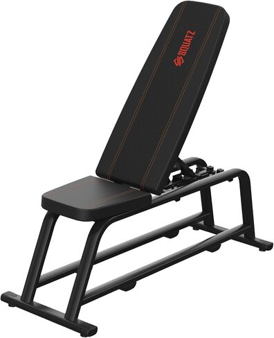SQUATZ Apollo Board Gym، مقعد مسطح للوزن - مقعد تمرين متعدد الأغراض لجهاز Apollo Board، قابل للتعديل من 94 إلى 180 درجة مع 5 مستويات، مجموعة واسعة من التطبيقات، معدات الصالة الرياضية المنزلية in Saudi Arabia