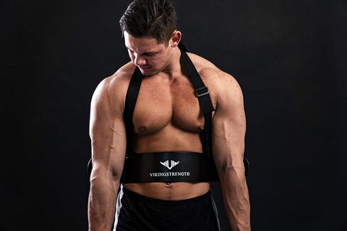 VIKINGSTRENGTH Bicep Tricep Arm Blaster لتأثير Preacher Curl، عازل الذراع الصلب يساعدك على زيادة العضلات والتعريف والقوة - جودة ممتازة لرفع الأثقال + تطبيق تمرين V-Strength in Kuwait