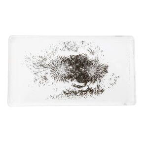 #MAGFLD Magnetic Field Demonstration - Explore Magnetism in Science Education. Size 6.4 x 3.6 x .45 inches.