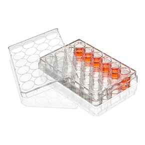 Diamond SureGro Multiple Well Plate, 24 Well, Flat Bottom, Non-Treated, Sterile, Individually Wrapped, 50/Box