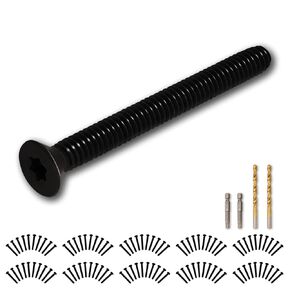 RAMATA 1/4-20 x 2 1/2 Trailer Deck Screws Self Tapping, Flat Head Floorboard Thread Cutting Screws, Type F Star Drive, T30 Torx, Black Phosphate, Black, Replace #370-225, 100 Pack