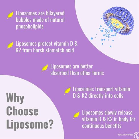 UpNourish Liposomal D3 وK2 MK-7، امتصاص متقدم لصحة العظام والمناعة المثلى، يوفر 5000 وحدة دولية 125 ميكروجرام فيتامين D3 و100 ميكروجرام فيتامين k2 مع زيت جوز الهند العضوي، 365 كبسولة هلامية صغيرة in Kuwait