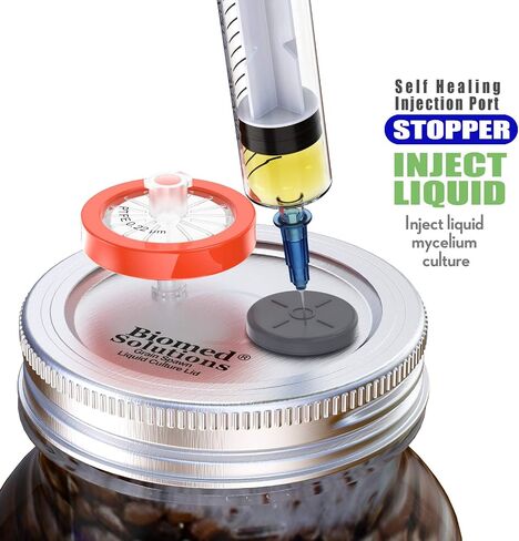 6Pcs Regular Mouth Mushroom Liquid Culture Lid, Grain Spawn Cultivation Mason Jar Lid with 0.2 micron PTFE Syringe Filter & 20mm Self Healing Injection Ports For Mushroom Growing Mycology in Kuwait