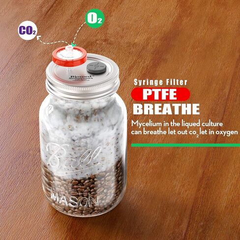 6Pcs Regular Mouth Mushroom Liquid Culture Lid, Grain Spawn Cultivation Mason Jar Lid with 0.2 micron PTFE Syringe Filter & 20mm Self Healing Injection Ports For Mushroom Growing Mycology in Kuwait