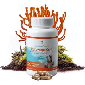 Cordyceps CS-4 Capsules, Full Spectrum Extract for Health, Energy & Endurance, Hot Water Extracted, Vegetarian, 400mg, 90 CT