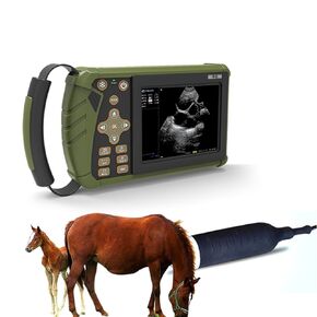 Vet Ultrasound Machine Portable Veterinary Handheld Scanner B-Ultra Sound with 3.5MHz Probe for Pregnancy Pig,Sheep,Dog,cat use in Saudi Arabia