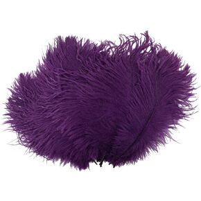 Zucker Ostrich Feathers 2/Pkg-White