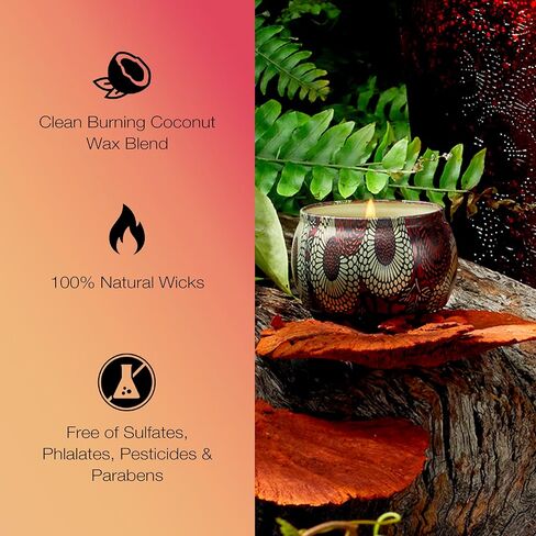 Voluspa Santal Vanille Candle | Mini Tin | 4 Oz. | 25 Hour Burn Time | Vegan | Coconut Wax and Natural Wicks for a Cleaner Burn in Kuwait