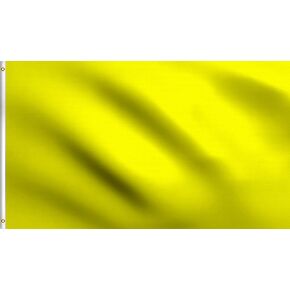 DMSE Yellow Solid Blank Flag 2X3 Ft Foot Flag UV Resistant (2x3 Nylon, Yellow)
