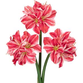 Briful 3PCS Amaryllis Artificial Flowers 17.3 Inch Faux Amaryllis Lily Flowers Stems with 4 Heads Silk Floral Bouquet for Christmas Home Room Table Centerpiece Wedding Party Arrangements(Red)