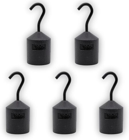 EISCO - Hooked Weight, 100g - Iron, Cylindrical with Hook and Bottom Slot for Easy Lifting, Science Experiments, Physics, Scale Calibration, Measurement in Kuwait