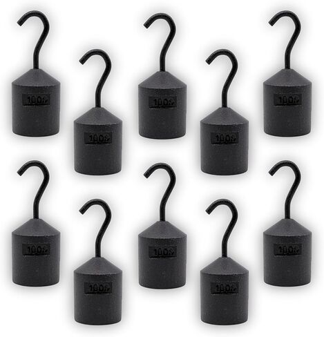 EISCO - Hooked Weight, 100g - Iron, Cylindrical with Hook and Bottom Slot for Easy Lifting, Science Experiments, Physics, Scale Calibration, Measurement in Kuwait