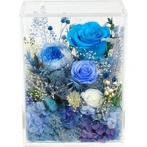 Valley of Rain & Forest Long-Lasting Real Flowers, Handcrafted Preserved Rose Bush for You to Send Love for All Occasions, Floral Arrangement for Indoor Decoration (Pink Rose)