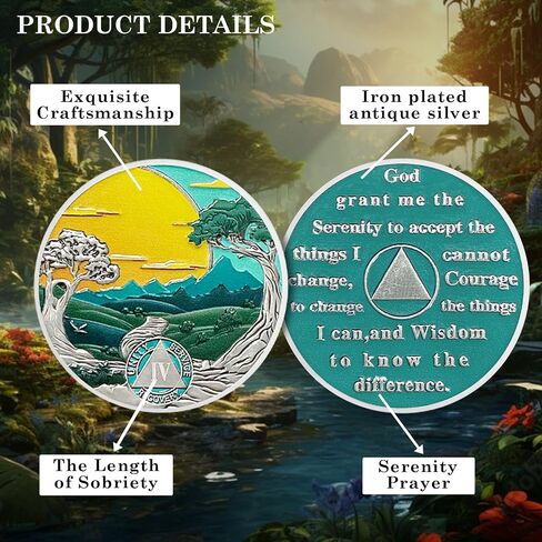 CHURYUML 12 Year Sobriety Coin Nature Landscape Sobriety Chip Sobriety Gifts for Women Men AA Coins Recovery Medallions Alcoholics Anonymous Addiction Recovery Gifts Affirmation Token in Saudi Arabia