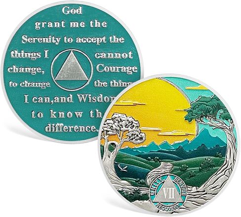CHURYUML 12 Year Sobriety Coin Nature Landscape Sobriety Chip Sobriety Gifts for Women Men AA Coins Recovery Medallions Alcoholics Anonymous Addiction Recovery Gifts Affirmation Token in Saudi Arabia