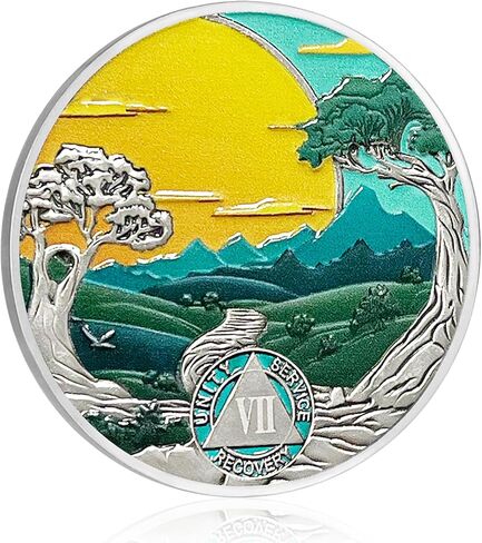 CHURYUML 12 Year Sobriety Coin Nature Landscape Sobriety Chip Sobriety Gifts for Women Men AA Coins Recovery Medallions Alcoholics Anonymous Addiction Recovery Gifts Affirmation Token in Saudi Arabia