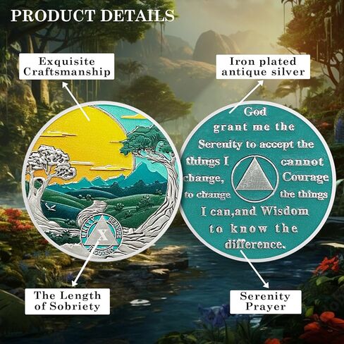 CHURYUML 12 عامًا من عملة الرصانة، طبيعة المناظر الطبيعية، رقاقة الرصانة، هدايا الرصانة للنساء والرجال، عملات AA، ميداليات التعافي، مدمنو الكحول المجهولون، هدايا التعافي من الإدمان، رمز التأكيد in Kuwait