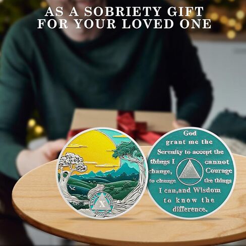 CHURYUML 12 عامًا من عملة الرصانة، طبيعة المناظر الطبيعية، رقاقة الرصانة، هدايا الرصانة للنساء والرجال، عملات AA، ميداليات التعافي، مدمنو الكحول المجهولون، هدايا التعافي من الإدمان، رمز التأكيد in Kuwait