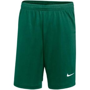 Nike Youth DRI-FIT Classic II Shorts