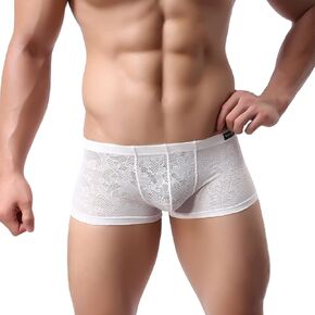 Evankin Men Breathable Underwear See Through Sexy Boxer Briefs Mesh Transparent Pants Male Soft Bikini Lace Underpants