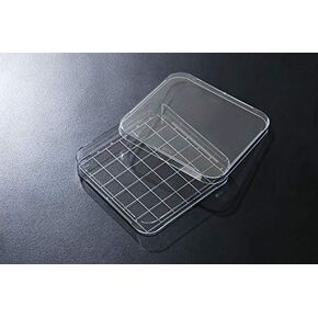 SPL Square Dish PS Area 139 cm2 Sterile TC Treated Case of 60