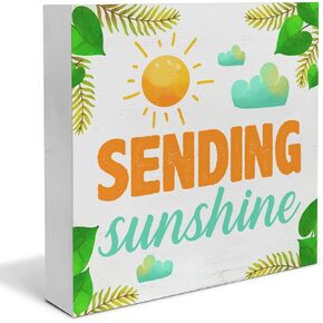 Farmhouse Sunshine Saying Wood Box Sign Art Desk Decor Sun Shine Definition Wood Block Sign Decor 5 X 5 Inches for Home Office Tabletop Shelf Wall