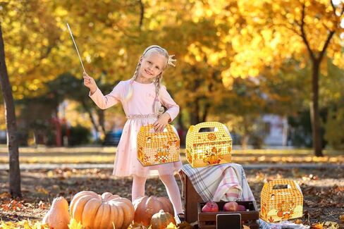 Threetols 12 Pack Thanksgiving Treat Boxes, Orange Pumpkin Fall Gift Boxes Autumn Turkey Maple leaf Foldable Boxes Thanksgiving Party Favor Boxes Harvest Candy Gift Wrap Boxes for Fall Party Supplie in Saudi Arabia