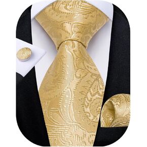 DiBanGu Men Tie Set Formal Ties Woven Classic Necktie and Pocket Square Sets in Gift Box